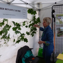 Fête des sports. 14 mai 2017