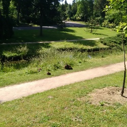 Marche Nordique du 31 mai 2017