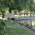 IMG_1701