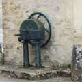 IMG_1910