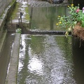 IMG_1932