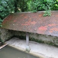 IMG_1937