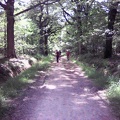IMG00029-15Juillet