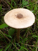 P1060860
