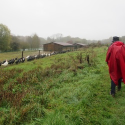 La cave aux fées novembre 2017