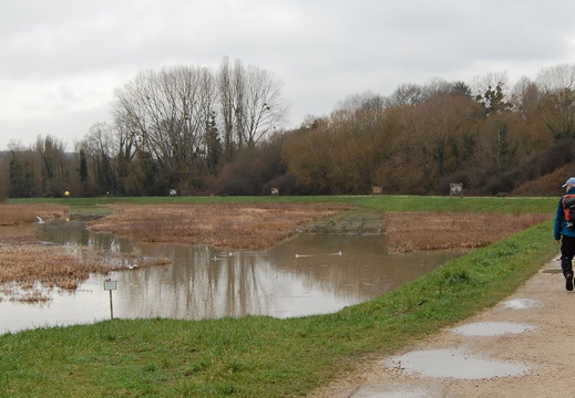DSC_3508