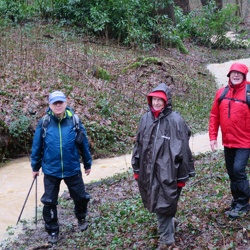 Route des Châteaux-Chevreuse