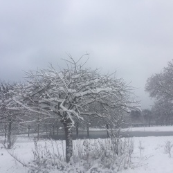 Marche nordique du 7 février 2018