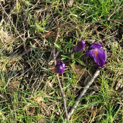 La Défense-Bougival 2018
