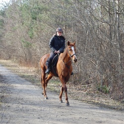 Montfort-l'Amaury 2018