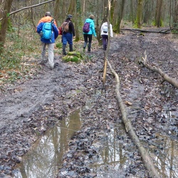 La Butte de Tous Vents et les Bois du Marais