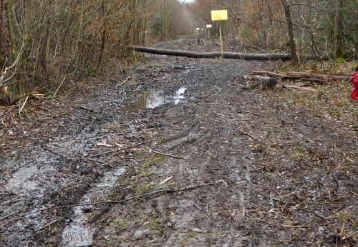 La Butte de Tous Vents et les Bois du Marais