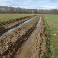 26-Les engins agricoles nous ont fait la trace.P1070063
