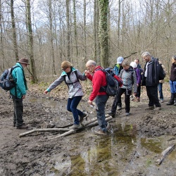La forêt de Sénart