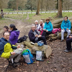 Forêt d'Ermenonville