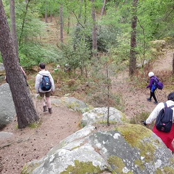 Forêt de Fontainebleau