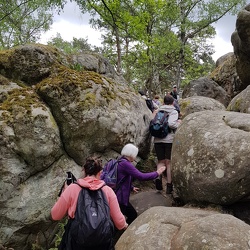 Forêt de Fontainebleau