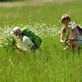 P1070318 Cueillette en pleine nature avec Jacqueline &amp; Danielle M
