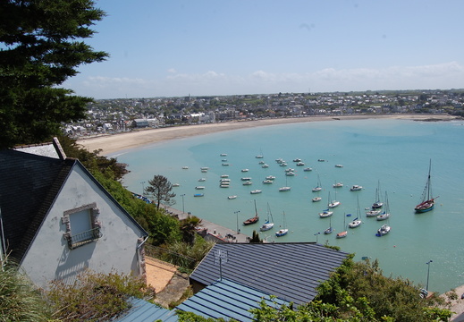 DSC 5892