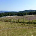 41- Le Struthof