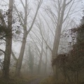 IMG_0866