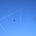 IMG 4282