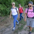IMG 4294