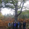 IMG 4994-001