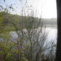 IMG 5010