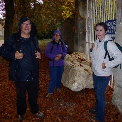 Marche contre le cancer (Rueil-Malmaison)