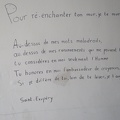 IMG 5091