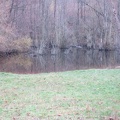 IMG 5103