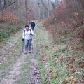 IMG 5245