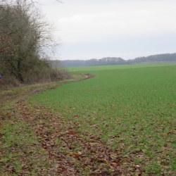 Saison 2018-2019