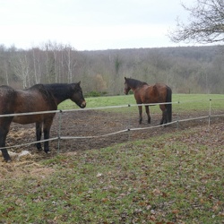 De Crespières à Feucherolles
