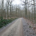 P1050337