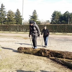 Marche Nordique 13 février 2019