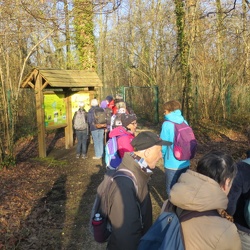 Les marais de l’Essonne
