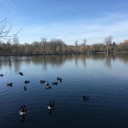 Les marais de l’Essonne