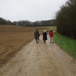 Lardy, forêt de Cheptainville