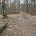 IMG 5528