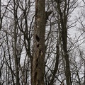 IMG 5530