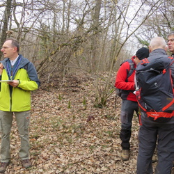 Lardy, forêt de Cheptainville