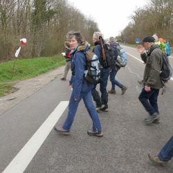 Forêt de Saint Germain en Laye
