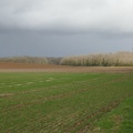 P1050941 1