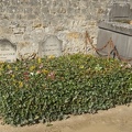 P1050954 1
