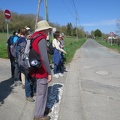IMG 5584