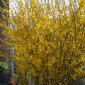 IMG 5587
