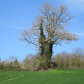 IMG 5597