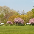 20190415 100346